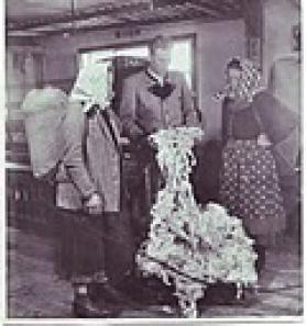 Hodnocení kvality vlny Historie Lodenwalke